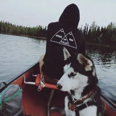 6686体育铜牌作者Isla