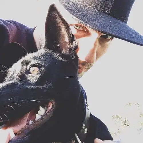 6686体育铁牌作者Uma